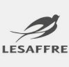 référence lesaffre