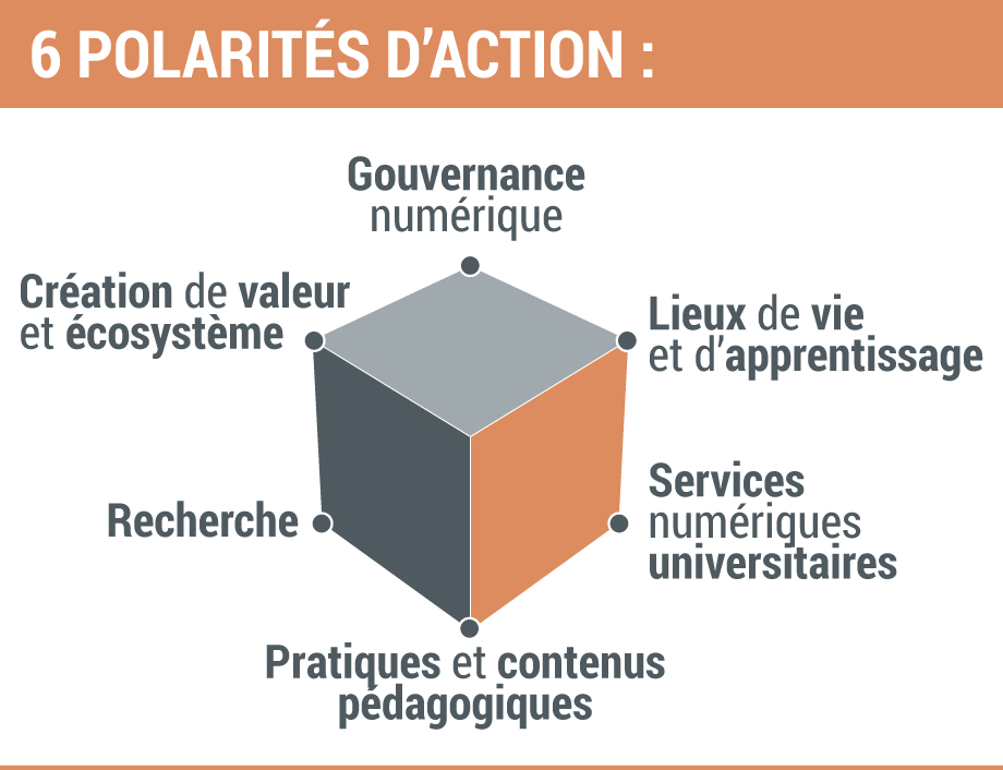 Polarités d'action Transition