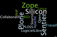 Publication de la conférence sur les modèles économiques du logiciel libre, salon Solutions 2008